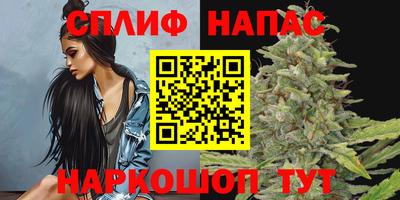 сатива Бийск